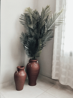 Imagen de Areca Palm