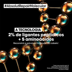 Kit L'Oréal Professionnel Absolut Repair Molecular - Home Care