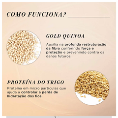 L'Oréal Professionnel Serie Expert Absolut Repair Gold Quinoa + Protein - Condicionador 1,5 Litro - Forte Cosméticos