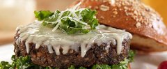 Banner de la categoría Hamburguesas Veggie s/tacc