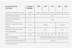 Baxi Luna Duo Tec MP 1.90 en internet