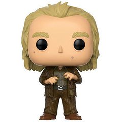 FUNKO POP PETER PETTIGREW "HARRY POTTER" N°48