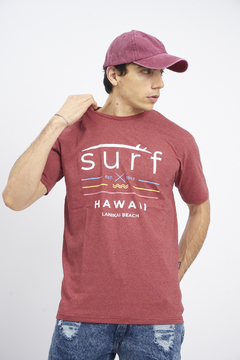 Remera Aveinte SURF HAWAII - comprar online