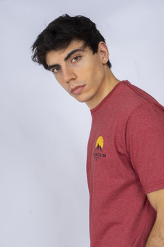 Remera Aveinte "MOUNTAIN" - comprar online