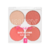 RK PALETA BLUSH BARE BLUSH-LIVIN BARE