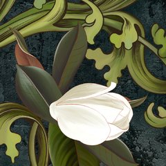 Imagen de Magnolias y Jazmines