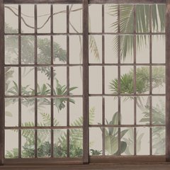 Tropical window