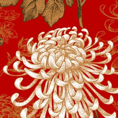 Crisantemo Japonés en internet