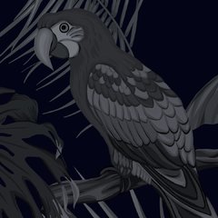 Dark Parrots - Rollo. Vinilos decorativos
