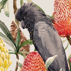 Black Parrot - tienda online