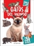 GATOS DEL MUNDO [MAS DE 50 STICKERS] -