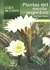 PLANTAS DEL MONTE ARGENTINO -