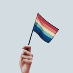 Banner de la categoría Pride