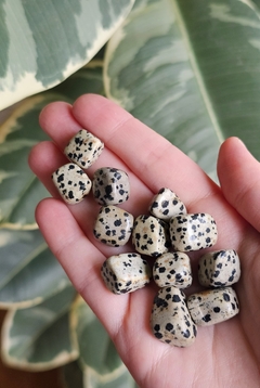 Jaspe Dalmata rolado - comprar online