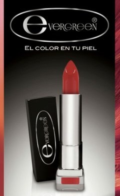 Labiales evergreen  - comprar online