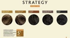 Shampoo colorante hombre strategy en internet