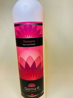 Shampoo ultra nutrición Gianna B 