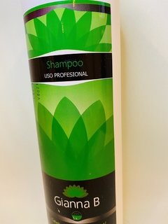 Shampoo para cabello teñido o alisados Gianna B 