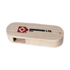 Memoria USB de Madera - comprar online