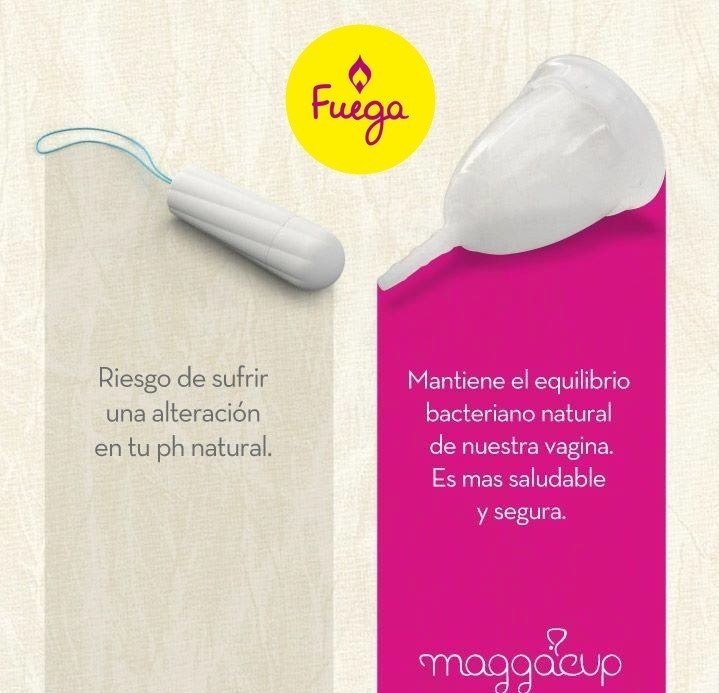 Vaso esterilizador + copa menstrual - Maggacup