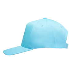 Gorra Simple en internet