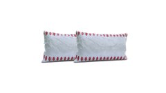 COMBO 2 ALMOHADAS FIRMES DURAS 70x50cm 825AL444 04