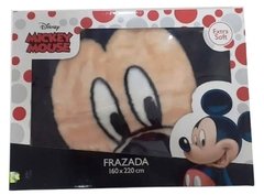 FRAZADA DE PIEL MICROFIBRA EXTRA SUAVE INFANTIL PERSONAJES 821LI100 01 - comprar online