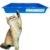 Bandeja Sanitária Higiênica Para Gato Pet Caixa de Areia Média 49x33x7cm Lavável Reutilizável PegPet - buy online