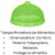 Kit 5 Cobre Bolo Telado Protetor Alimentos Redondo Plástico 33x18cm - buy online