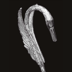 Robinet colección Cisne en internet