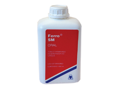 Ferro SM 100ml Oral - comprar online