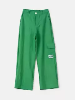 CALÇA DE ALFAIATARIA VERDE - comprar online