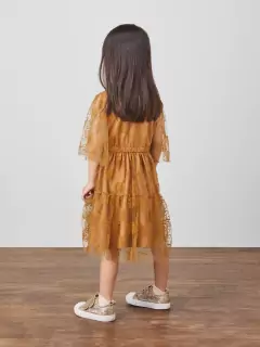 Vestido de Festa com Tule Flocado na internet