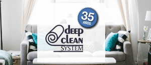 Deep Clean System