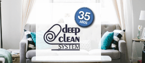 Deep Clean System