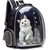 MOCHILA BURBUJA TRANSPARENTE PARA MASCOTA - comprar online