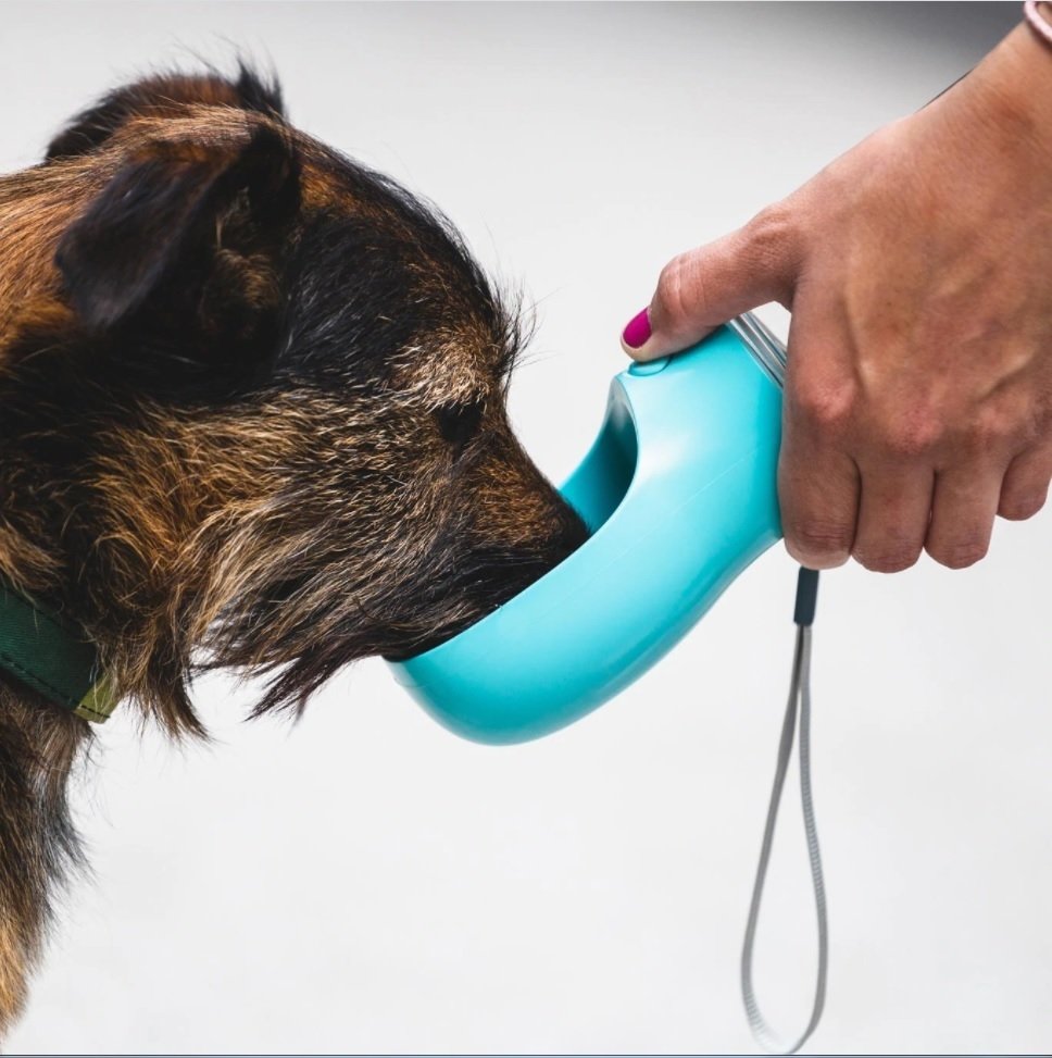 Bebedero portátil para perros – IL MIO PET