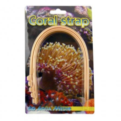 Coral straps