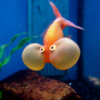 goldfish ojos de burbuja 3-4 cm