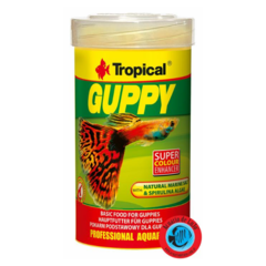 guppy 20 gr