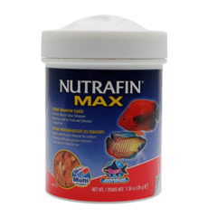 nutrafin max color 19 gr