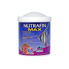 nutrafin max x 19 gr