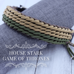 Coleira pet House Stark -GOT