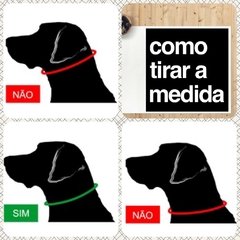 Coleira PET com as cores do Flamengo trançada - comprar online