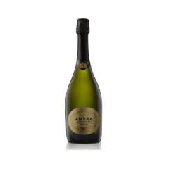 ALYDA VAN SALENTEIN BRUT NATURE 750cc