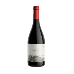 45 RUGIENTES PINOT NOIR 750cc