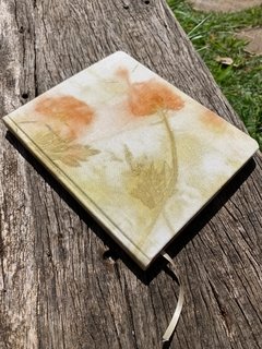 Caderno Botânico - Flores de Cosmos