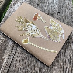 Caderno Botânico Folhas e flores