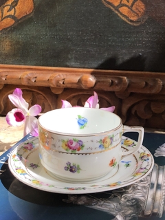 Xícara de chá em porcelana Dresden pintada a mão