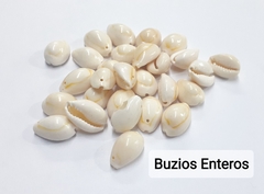 Buzios Cortados/Enteros - comprar online